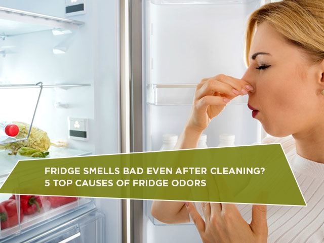 Fridge Smells Bad Even After Cleaning? 5 Top Causes of Fridge Odors